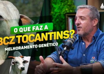 O que faz a ABCZ no Tocantins: PMGZ, Registro de Touros e Melhoramento do Rebanho #43