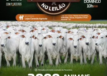 2ª edição do Leilão Virtual Conexão Agrícola será realizada no dia 19 de abril