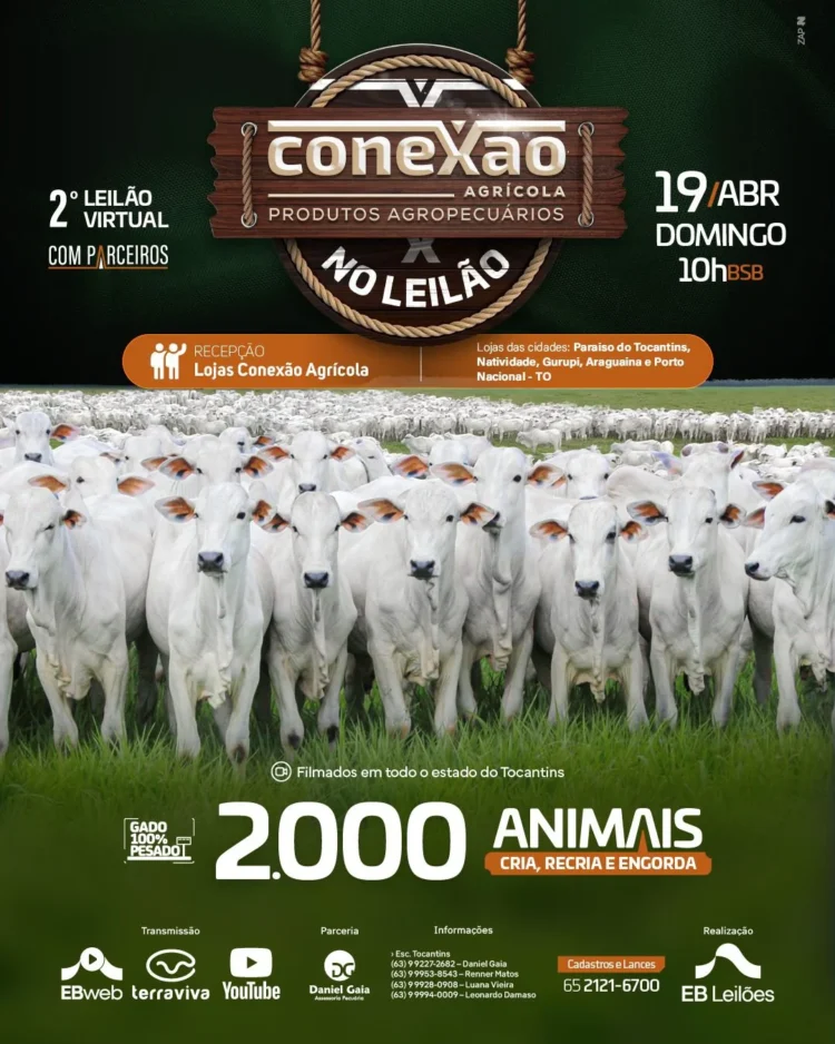 2ª edição do Leilão Virtual Conexão Agrícola será realizada no dia 19 de abril