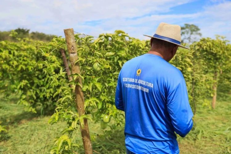 Fazendinha Agrícola é modernizada e ganha novas vitrines tecnológicas para a Agrotins 2026