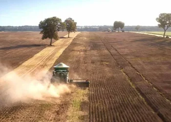 Negócio envolvendo um dos maiores confinamentos do Brasil marca venda da Fazenda Conforto