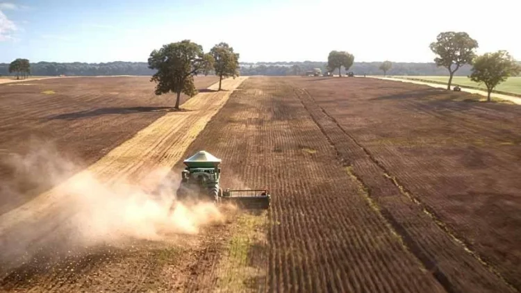 Negócio envolvendo um dos maiores confinamentos do Brasil marca venda da Fazenda Conforto
