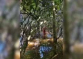 Bombeiros intensificam buscas por homem desaparecido na zona rural de Aragominas