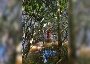 Bombeiros intensificam buscas por homem desaparecido na zona rural de Aragominas