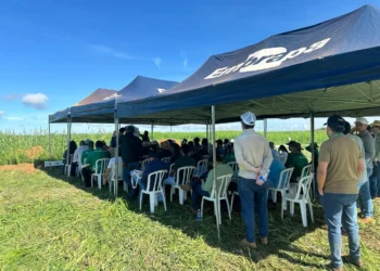 Aprosoja Tocantins convida produtores para Dia de Campo em Paraíso do Tocantins com foco em manejo e produtividade