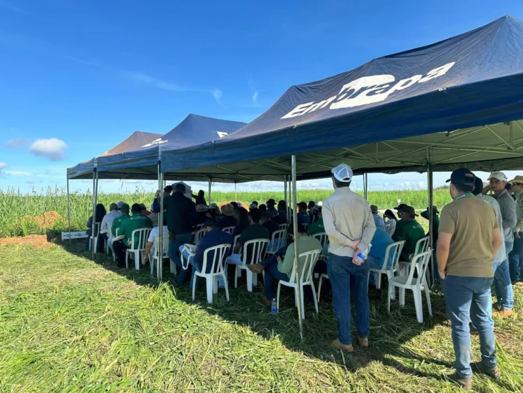 Aprosoja Tocantins convida produtores para Dia de Campo em Paraíso do Tocantins com foco em manejo e produtividade