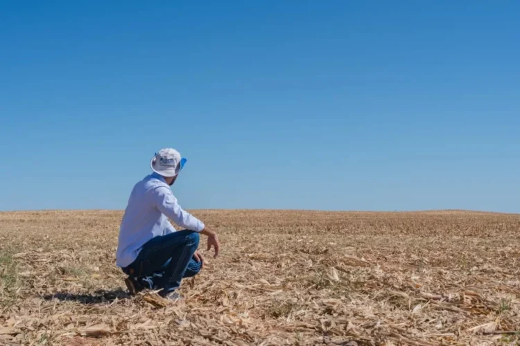 Soja 26/27 ganha novo calendário e CNA liga alerta para manejo nas lavouras