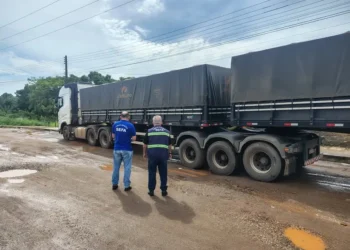 Sem registro, carga de 17 toneladas de mel é confiscada e empresa recebe multa de R$ 40,5 mil