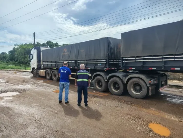 Sem registro, carga de 17 toneladas de mel é confiscada e empresa recebe multa de R$ 40,5 mil