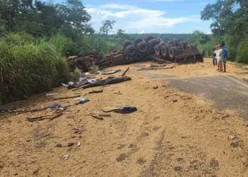 Colisão entre caminhões na TO-455 deixa um morto e espalha carga na pista