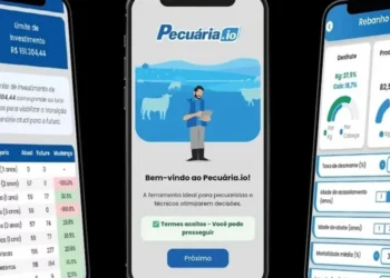 Novo simulador da Embrapa ajuda pecuaristas a projetar lucro e definir investimentos