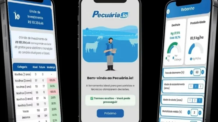 Novo simulador da Embrapa ajuda pecuaristas a projetar lucro e definir investimentos