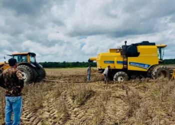 Produtores relatam prejuízos na soja e Couto Magalhães pode decretar emergência