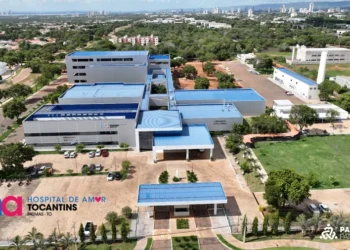 6º Leilão Direito de Viver arrecada recursos para Hospital de Amor em Palmas