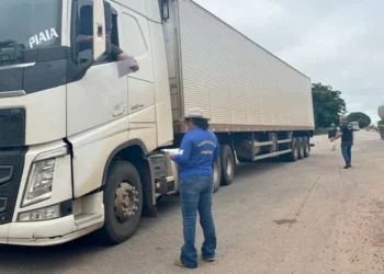 Mais de 300 abordagens orientam transporte de vegetais no Tocantins em 2026