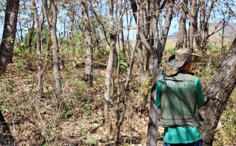 Combinado será o primeiro município do Tocantins com 100% da área rural regularizada