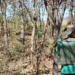 Combinado será o primeiro município do Tocantins com 100% da área rural regularizada