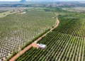 Projetos de irrigação reforçam potencial agrícola do Tocantins na Agrotins 2026