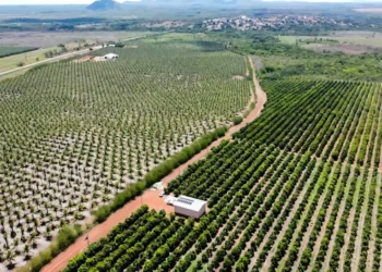 Projetos de irrigação reforçam potencial agrícola do Tocantins na Agrotins 2026