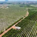 Projetos de irrigação reforçam potencial agrícola do Tocantins na Agrotins 2026