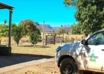 Regularização fundiária avança em Combinado e Barra do Ouro com novas frentes de trabalho