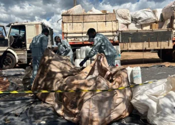 Abreulândia recebe primeira edição itinerante para descarte correto de embalagens de agrotóxicos