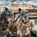 Abreulândia recebe primeira edição itinerante para descarte correto de embalagens de agrotóxicos