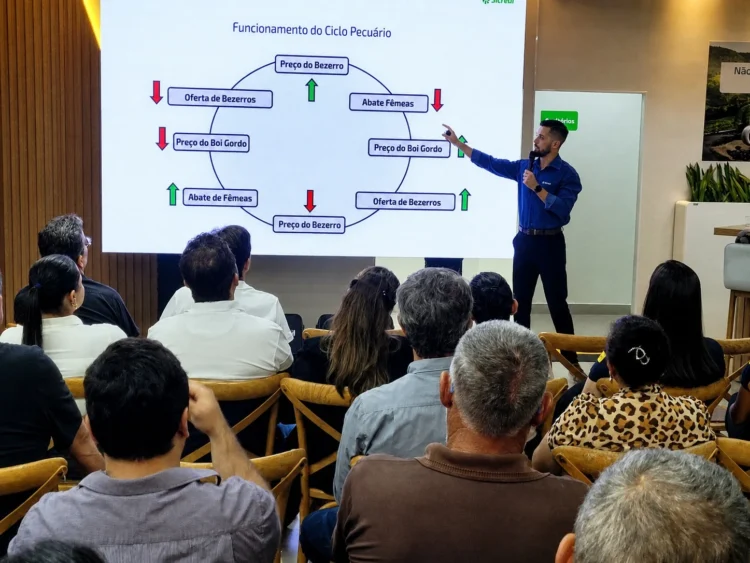 Encontro orienta produtores sobre mercado, crédito e planejamento antes da Agrotins