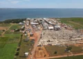 Agrotins 2026 aposta em IA, genética animal e novas culturas para transformar o campo