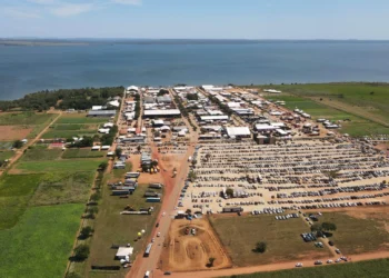 Agrotins 2026 aposta em IA, genética animal e novas culturas para transformar o campo