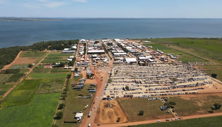 Agrotins 2026 aposta em IA, genética animal e novas culturas para transformar o campo