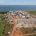 Agrotins 2026 aposta em IA, genética animal e novas culturas para transformar o campo