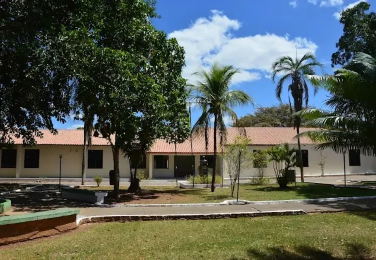 IFTO abre seleção com vaga para professor de agronomia e salários de até R$ 8,9 mil em Dianópolis