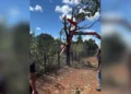 Helicóptero da dupla Henrique e Juliano cai em area rural de Porto Nacional, no Tocantins