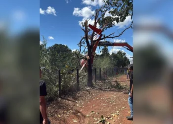 Helicóptero cai em fazenda da família de Henrique, dupla de Juliano, no Tocantins