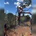 Helicóptero da dupla Henrique e Juliano cai em area rural de Porto Nacional, no Tocantins