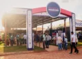 Agrotins 2026: Crescimento da pecuária no Tocantins impulsiona debate sobre mercado de reprodução bovina