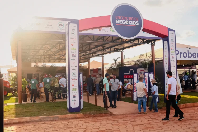 Agrotins 2026: Crescimento da pecuária no Tocantins impulsiona debate sobre mercado de reprodução bovina