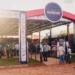 Agrotins 2026: Crescimento da pecuária no Tocantins impulsiona debate sobre mercado de reprodução bovina