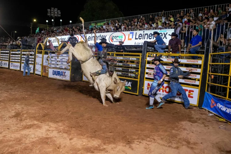 Rodeio da Expoara 2026 reúne competidores de todo o país e mantém programação até sábado