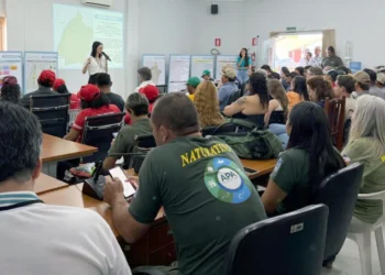 Audiências públicas fortalecem construção do Plano de Manejo da APA Ilha do Bananal/Cantão