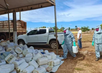 Dois Irmãos recolhe mais de 1,5 mil embalagens de defensivos agrícolas em ação itinerante
