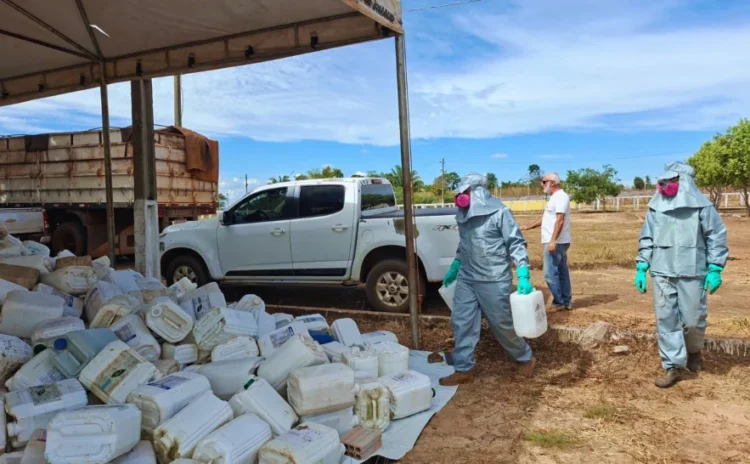 Dois Irmãos recolhe mais de 1,5 mil embalagens de defensivos agrícolas em ação itinerante