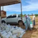 Dois Irmãos recolhe mais de 1,5 mil embalagens de defensivos agrícolas em ação itinerante