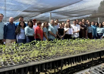 Tocantins articula ação com 13 municípios e UFT para restaurar áreas degradadas e preservar recursos hídricos