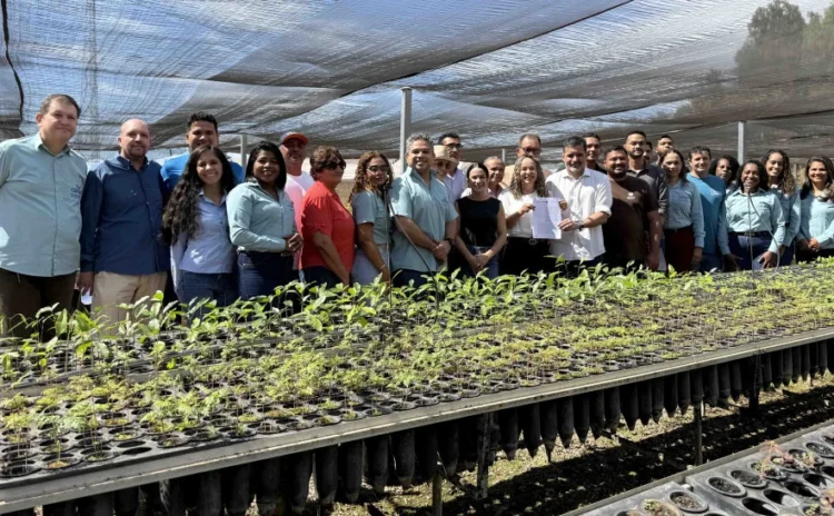Tocantins articula ação com 13 municípios e UFT para restaurar áreas degradadas e preservar recursos hídricos
