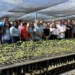 Tocantins articula ação com 13 municípios e UFT para restaurar áreas degradadas e preservar recursos hídricos
