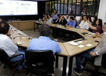 Tocantins moderniza acesso ao Cadastro Ambiental Rural com lançamento da Consulta CAR