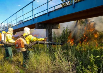Brigadistas são mobilizados para ampliar prevenção e resposta aos incêndios no Tocantins