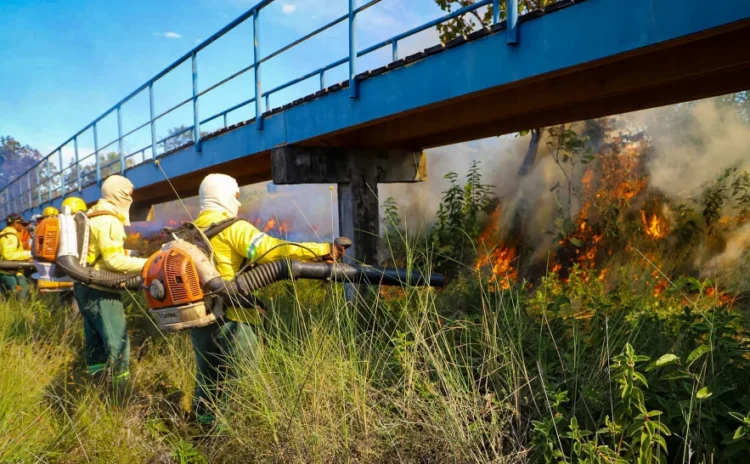 Brigadistas são mobilizados para ampliar prevenção e resposta aos incêndios no Tocantins